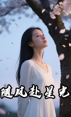 短剧《随风赴星光》海报