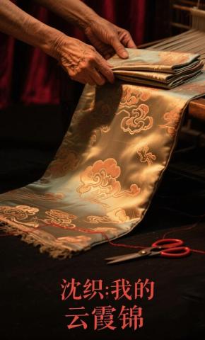 短剧《沈织我的云霞锦》海报