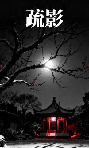 短剧《疏影》海报