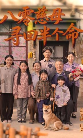 短剧《八零慈母寻回半个命》海报