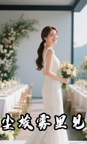 短剧《尘埃雾里见》海报