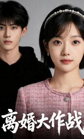 短剧《离婚大作战》海报