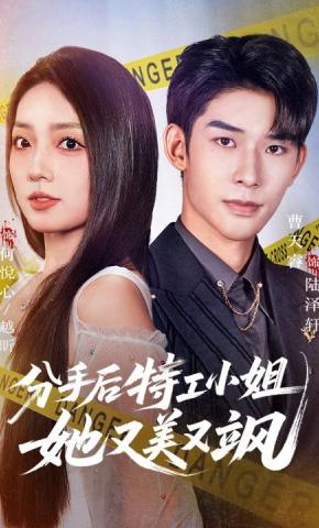 短剧《分手后特工小姐她又美又飒》海报