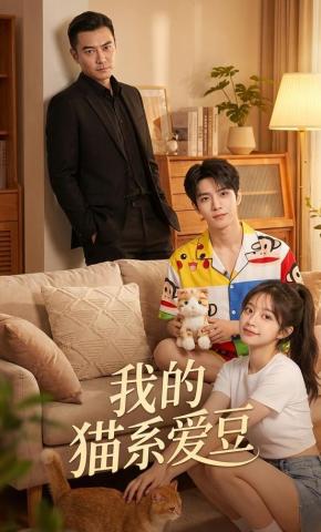 短剧《我的猫系爱豆》海报