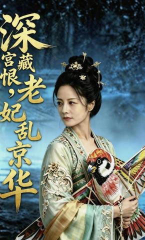 短剧《深宫藏恨，老妃乱京华》海报