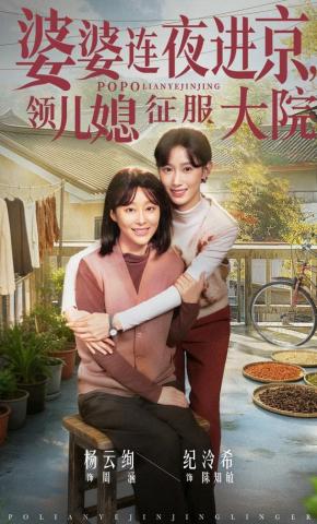 短剧《婆婆连夜进京，领儿媳征服大院》海报