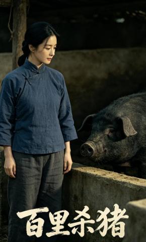 短剧《百里杀猪》海报