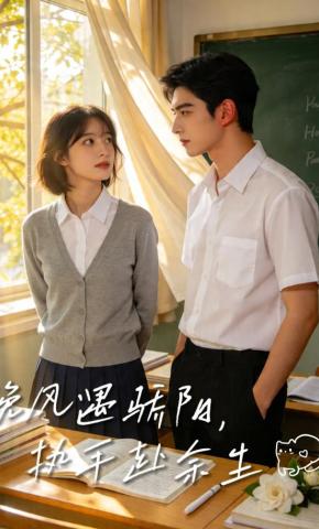 短剧《晚风遇骄阳，执手赴余生》海报