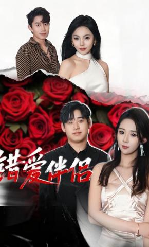 短剧《错爱伴侣》海报