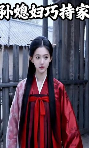 短剧《孙媳妇巧持家》海报