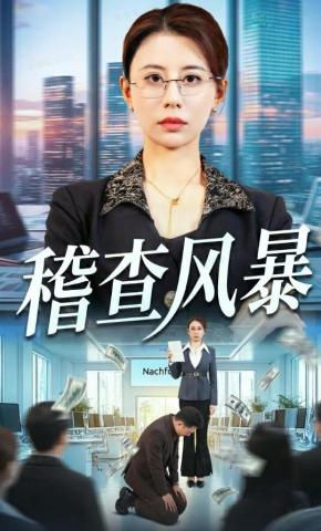 短剧《稽查风暴》海报