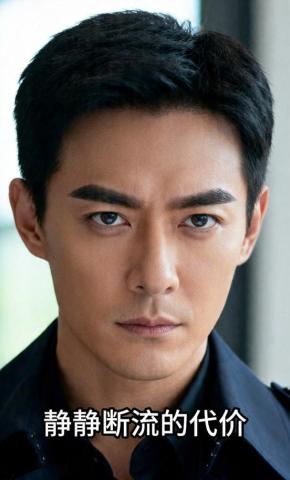 短剧《静静断流的代价》海报