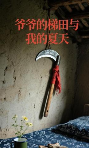 短剧《爷爷的梯田与我的夏天》海报
