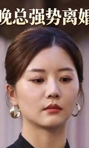 短剧晚总强势离婚海报