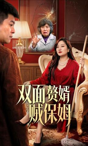 短剧《双面赘婿贼保姆》海报