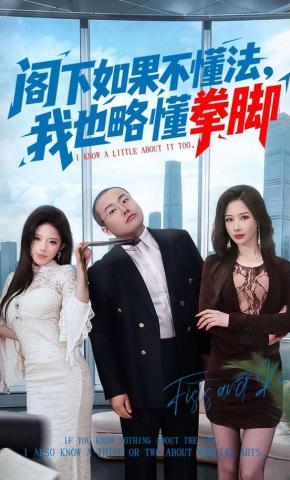 短剧《阁下如果不懂法，我也略懂拳脚》海报