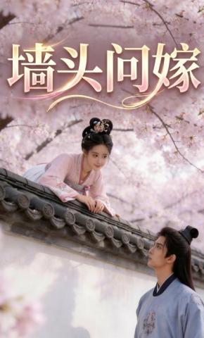 短剧《墙头问嫁》海报