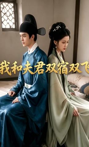 短剧《我和夫君双宿双飞》海报