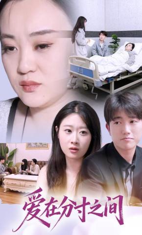 短剧《爱在分寸之间》海报