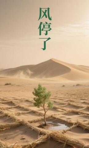 短剧《风停了》海报