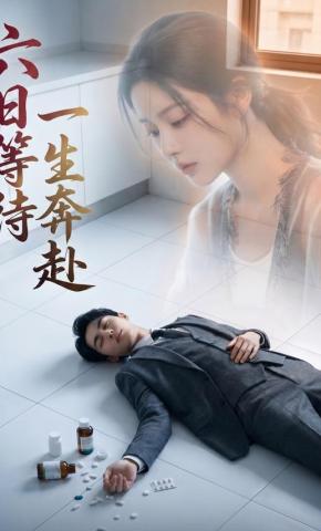 短剧《六日等待一生奔赴》海报