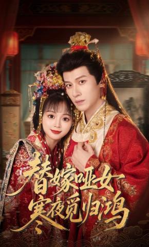 短剧《替嫁哑女寒夜觅归鸿》海报