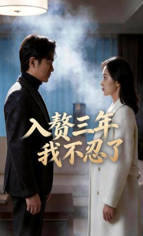 短剧《入赘三年，我不忍了》海报