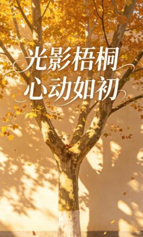 短剧《光影梧桐，心动如初》海报