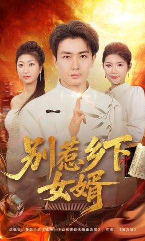 短剧《别惹乡下女婿》海报