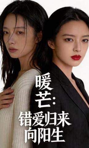 短剧《暖芒：错爱归来向阳生》海报