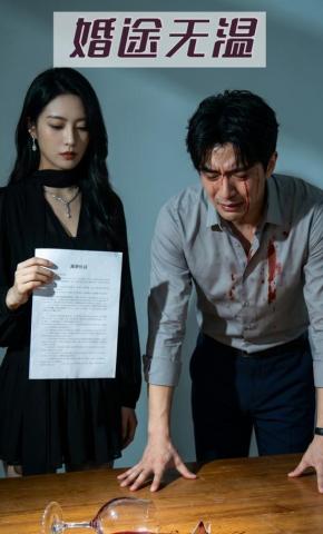 短剧《婚途无温》海报