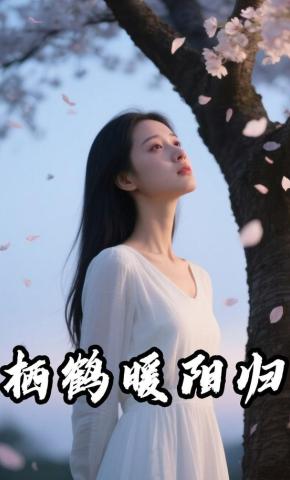 短剧《栖鹤暖阳归》海报