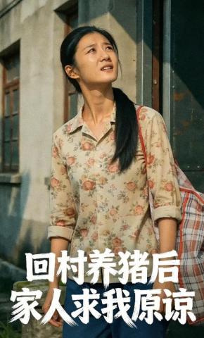 短剧《回村养猪后家人求我原谅》海报