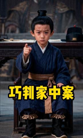 短剧《巧判家中案》海报