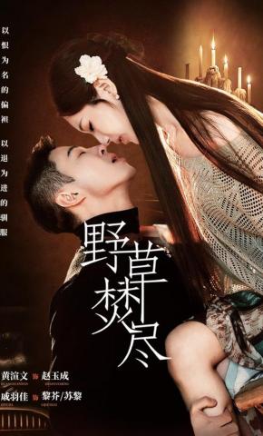 短剧《野草焚尽》海报