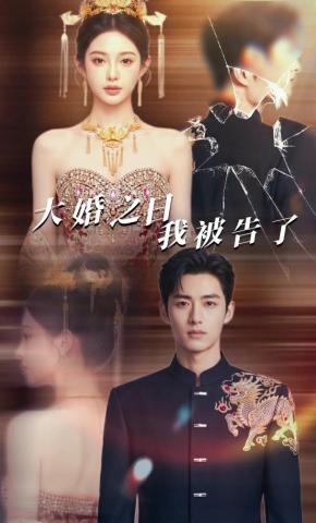 短剧《大婚之日，我被告了》海报
