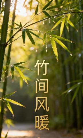 短剧《竹间风暖》海报