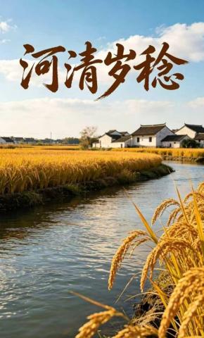 短剧《河清岁稔》海报