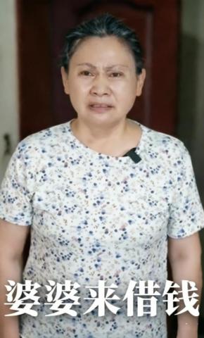 短剧《婆婆来借钱》海报