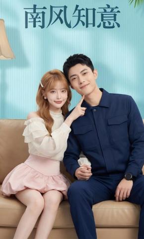 短剧《南风知意》海报