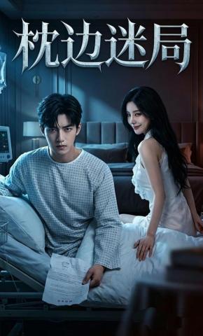 短剧《枕边迷局2》海报
