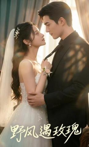 短剧《野风遇玫瑰》海报