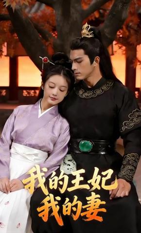 短剧《我的王妃我的妻》海报