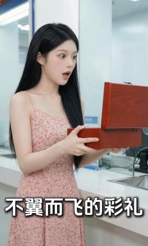 短剧《不翼而飞的彩礼》海报