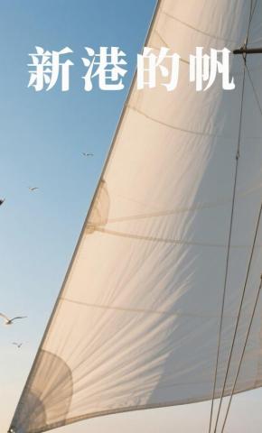 短剧《新港的帆》海报