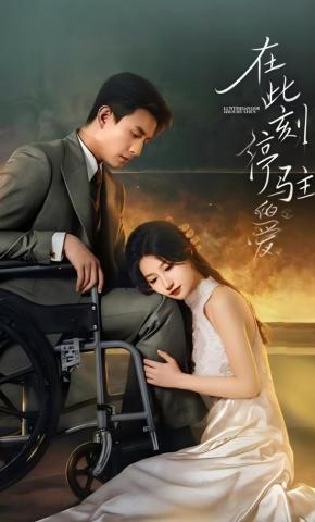 短剧《在此刻停驻的爱》海报