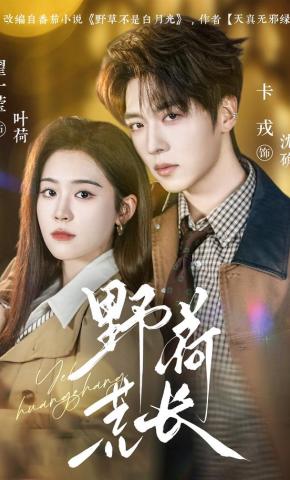 短剧《野荷荒长》海报