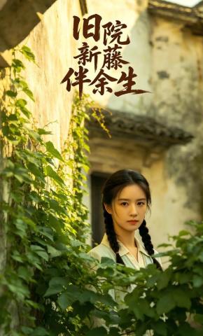 短剧《旧院新藤伴余生》海报