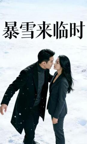 短剧《暴雪来临时》海报