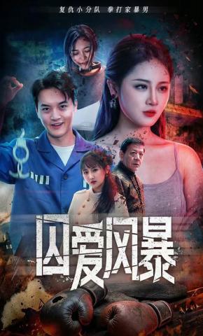 短剧《囚爱风暴》海报